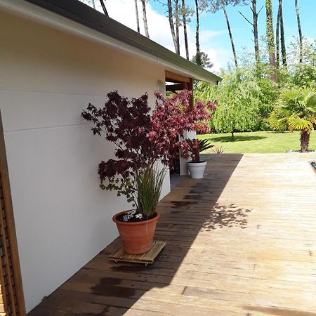 Chambre D'Hotes Les Iris A Mios Sur Le Bassin D'Arcachon Luaran gambar