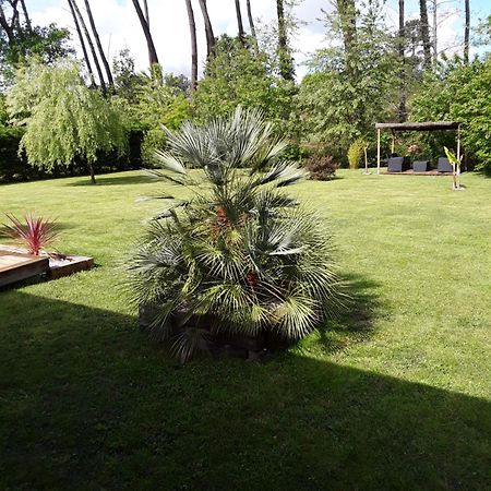 Chambre D'Hotes Les Iris A Mios Sur Le Bassin D'Arcachon Luaran gambar